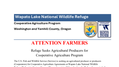 Notification of opportunity for cooperative farming at Wapato Lake NWR