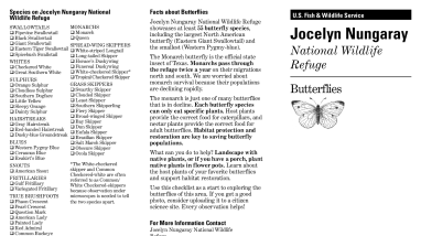 Jocelyn Nungaray National Wildlife Refuge Butterflies Checklist