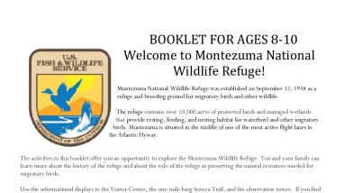 Montezuma's Junior Refuge Manager Activity Booklet (Ages 8-10)