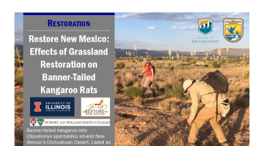 Restore New Mexico: Effects of Grassland Restoration on Banner-Tailed Kangaroo Rats Case Study Handout