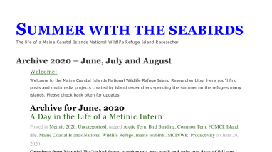 Summer with the Seabirds 2020