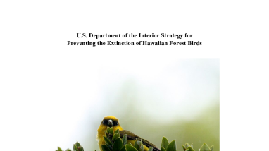 DOI Strategy for Preventing the Extinction of Hawaiian Forest Birds (508)