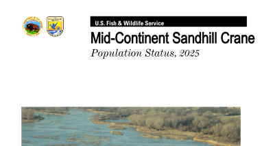 Coordinated Spring Survey Of Mid-Continent Sandhill Cranes 2025