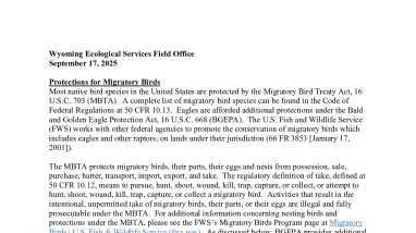 Wyoming Ecological Services Migratory Bird Recommendations for Non-Wind Projects