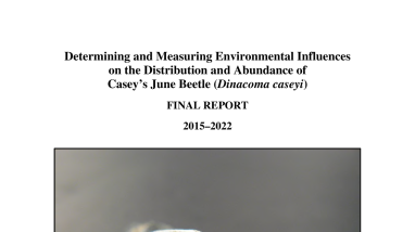 Casey's June Beetle Study Final Report