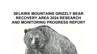 Selkirk Mountains Grizzly Bear Recovery Area 2024 Research and Monitoring Progress Report