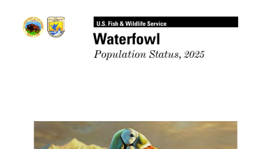 Waterfowl Population Status, 2025