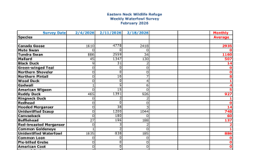 ENNWR Waterfowl Survey February 2026