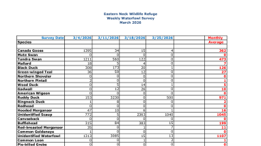 ENNWR Waterfowl Survey March 2026