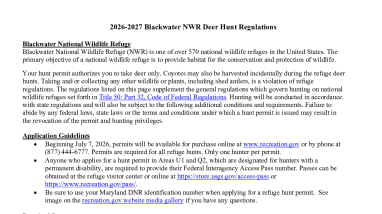 Blackwater NWR 2026-27 Deer Hunt Regulations, Dates, and Map