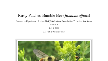 ESA Section 7(a)(2) Voluntary Implementation Technical Assistance for Rusty Patched Bumble Bee