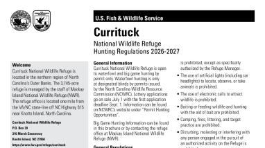 Currituck National Wildlife Refuge Hunting Regulations