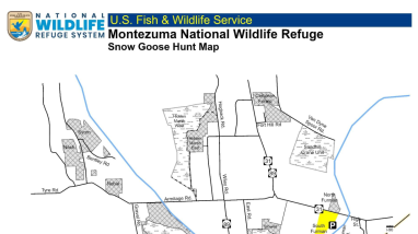 Snow Goose Hunting Regulations/Montezuma NWR 2026/2027