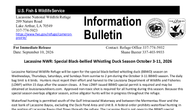 Black-bellied Whistling Duck Season at Lacassine NWR
