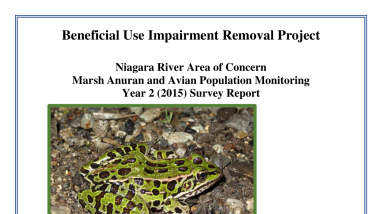 Final Anuran and Marsh Bird Survey Report: Year 2 (2015)
