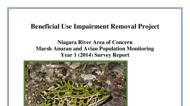 Final Anuran and Marsh Bird Survey Report: Year 1 (2014)