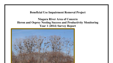 Final Heron and Osprey Survey Report: Year 1 (2014)