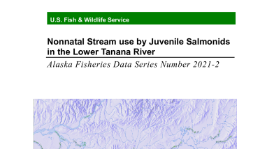 Nonnatal Stream use by Juvenile Salmonids in the Lower Tanana River 2021-2.pdf