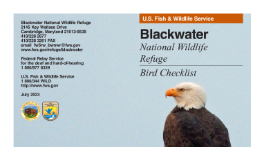 Blackwater NWR Bird Checklist