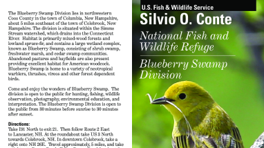Blueberry Swamp rack card final.pdf