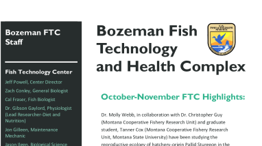 Bozeman FTC-FHCOct.Nov_. 2020_508compliant.pdf