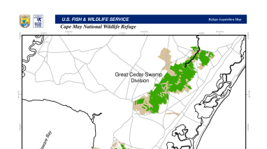 CapeMayMap.pdf