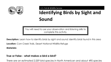 Desert NWR - Bird Education Worksheet (508)