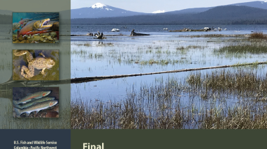 Deschutes_HCP-EIS_Volume_I_FINAL.pdf
