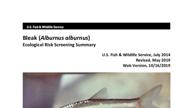 Ecological Risk Screening Summary - Bleak (Alburnus alburnus) - High Risk
