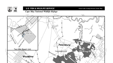 GreatCedarSwampDivisionMap.pdf