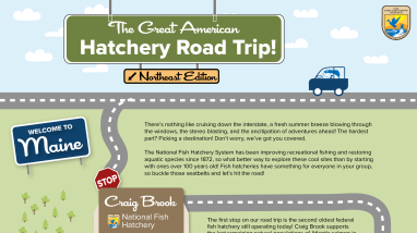 The Great American Hatchery Road Trip - Craig Brook Infographic