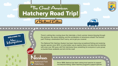 The Great American Hatchery Road Trip - Nashua Infographic