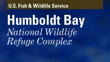 HumboldtGB_2021-web_508.pdf
