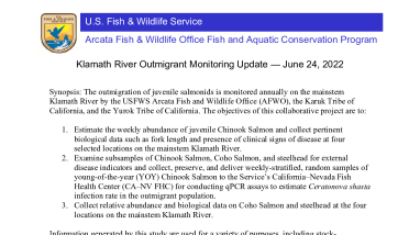  Name Klamath River Outmigrant Monitoring Update — June 24, 2022