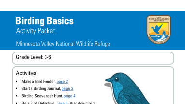 Birding Basics Distance Learning Packet (grades 2-6)