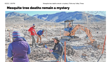 Story: Mesquite tree deaths remain a mystery