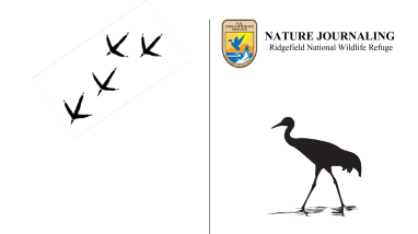 Nature Journaling - RNWR.pdf