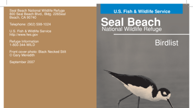 Seal Beach NWR Bird List