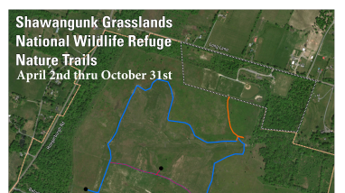 Shawangunk Grasslands NWR Trail Map_Non Owl Season (April 2nd thru October 31st).pdf