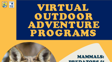 Mammals Predator & Prey Flyer