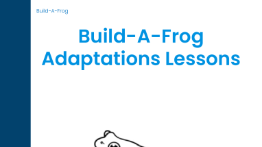 Build A Frog Lesson Plan