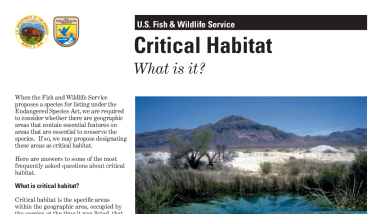 Critical Habitat Fact Sheet