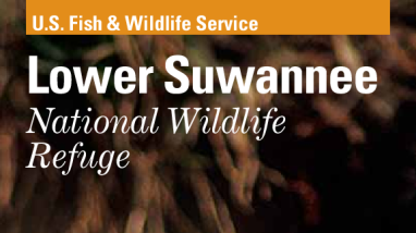 Lower Suwannee General Information Brochure