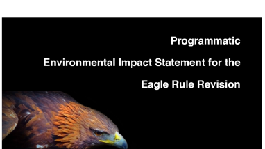 Final Programmatic Environmental Impact Statement for the Eagle Rule Revision 