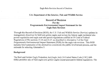 Eagle Rule Revision Record of Decision