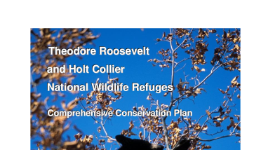 Theodore Roosevelt and Holt Collier National Wildlife Refuges Comprehensive Conservation Plan
