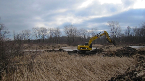 Wetland Restoration