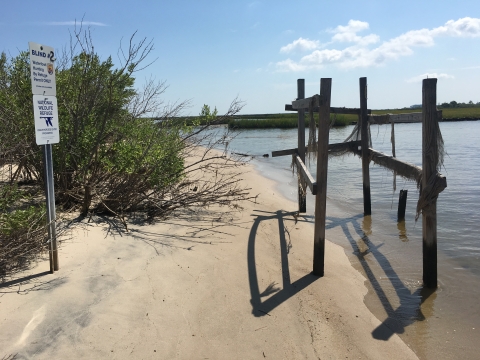 Hunt blind on shore