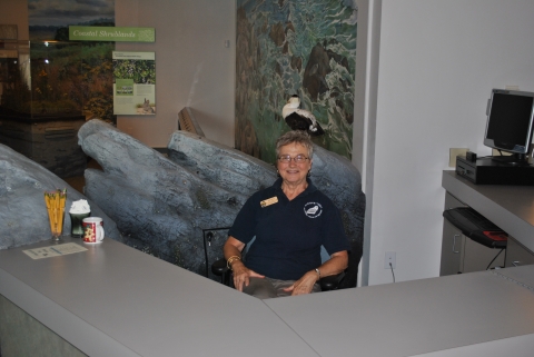 Volunteer staffing a visitor center