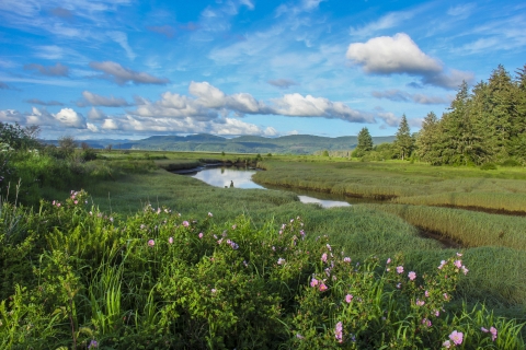 A scenic view of green fields along a river under a bright blue sky.